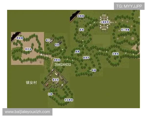 PA视讯开户流程全攻略，帮助新手玩家快速入门并享受丰富游戏内容